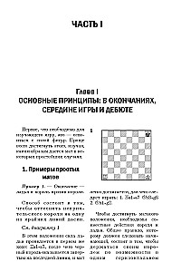 Basics of Chess Playing