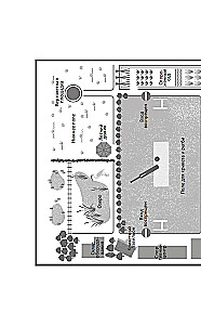 Impeccable Reputation