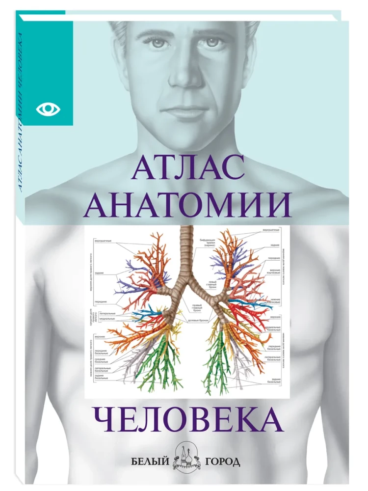 Atlas of Human Anatomy