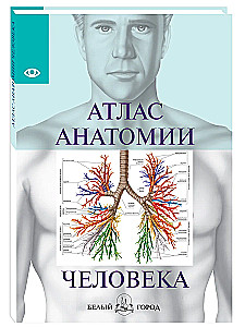 Atlas of Human Anatomy