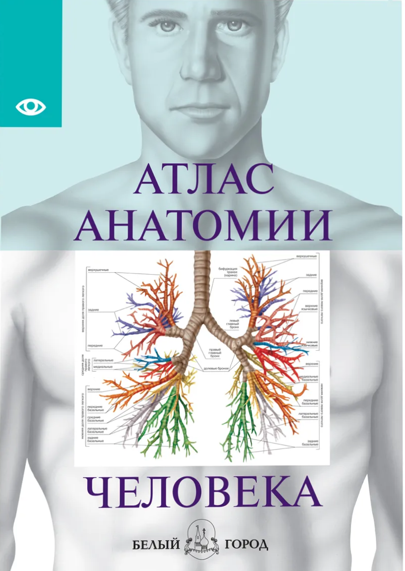 Atlas of Human Anatomy