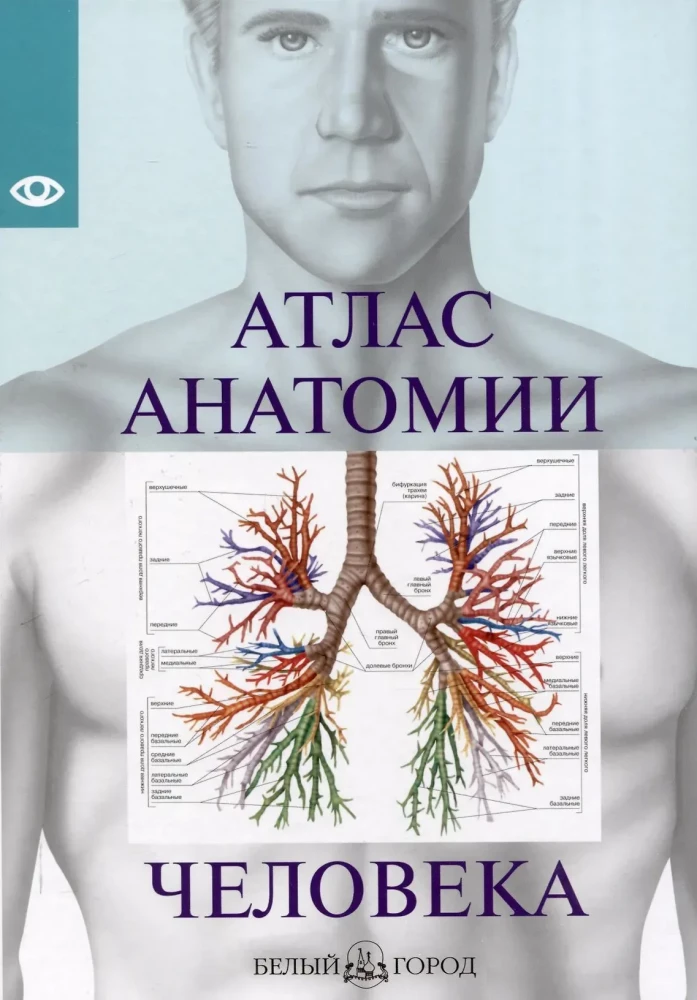 Atlas of Human Anatomy