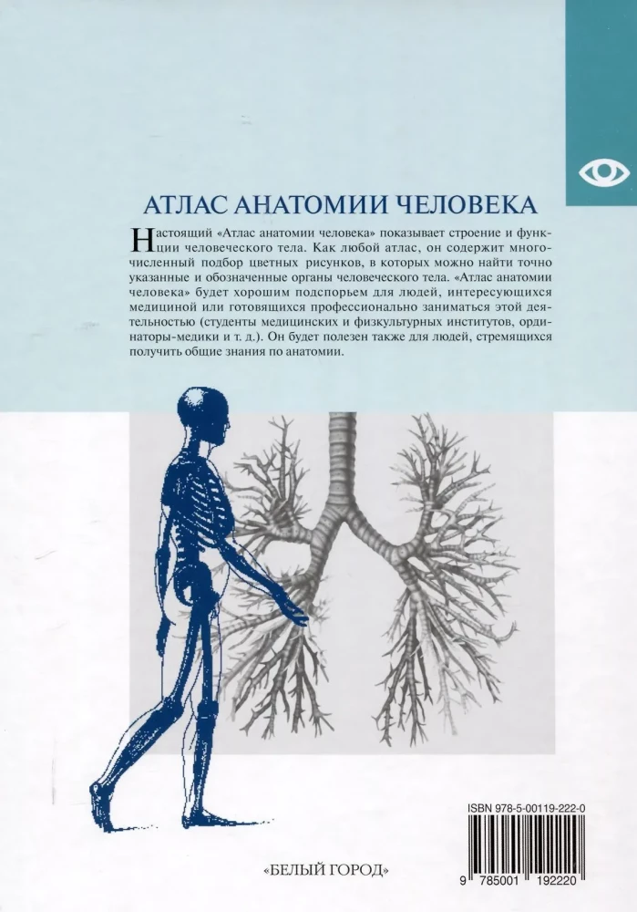 Atlas of Human Anatomy