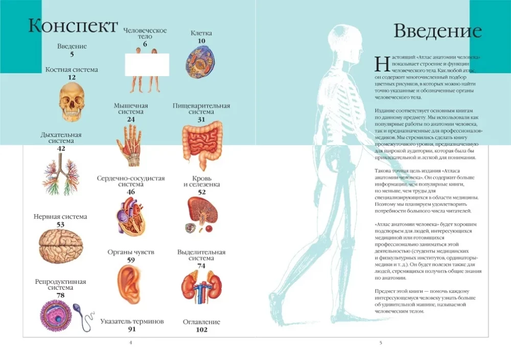 Atlas of Human Anatomy