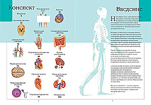 Atlas of Human Anatomy