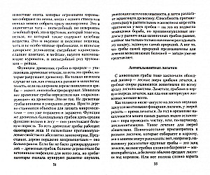 Kāpēc un kā sēnes ārstē vēzi