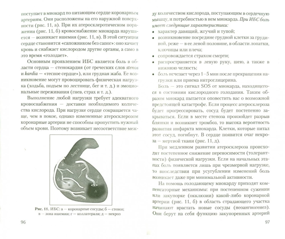 Jaunības un ilgmūžības skola