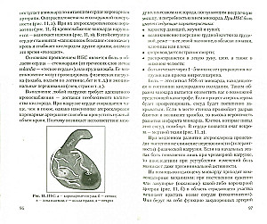 Jaunības un ilgmūžības skola
