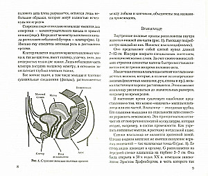 Intīmo veselību skola