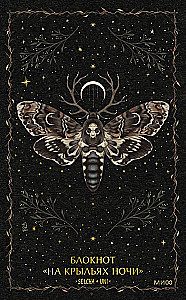 Notatnik Na skrzydłach nocy