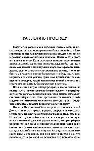 Как меня выбирали в губернаторы