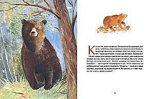 Miska. Viskrieviskais zvērs