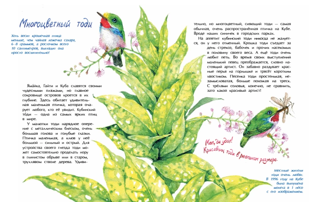 Vögelchen. Wer ist der kleinste auf der Welt?