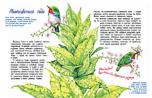 Vögelchen. Wer ist der kleinste auf der Welt?