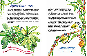 Vögelchen. Wer ist der kleinste auf der Welt?