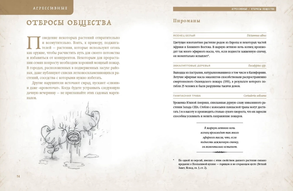 Viltīgās augu: Belladonna, dūmu, akonīts, mandragora un citi floras pasaules noziedznieki