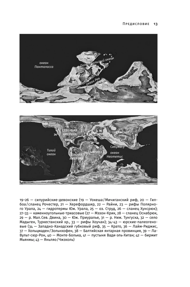 Liikide seiklused: vampiirilised jalgsed, ämblik-saba ja teised üleminekuvormid loomade evolutsioonis