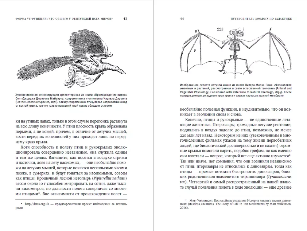 The Zoologist's Guide to the Galaxy: What Earth Animals Can Tell Us About Aliens – and About Ourselves