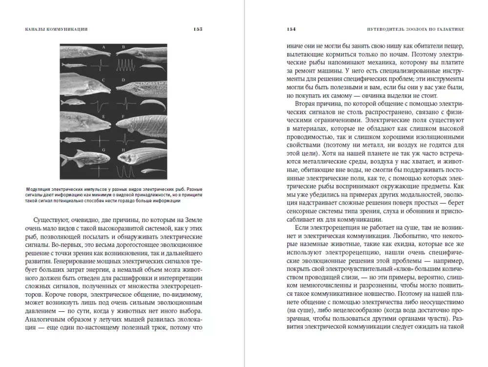 The Zoologist's Guide to the Galaxy: What Earth Animals Can Tell Us About Aliens – and About Ourselves