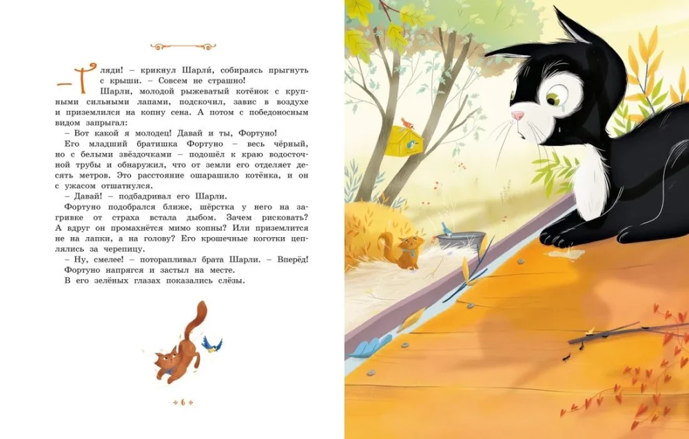 The Kitten Who Was Afraid of Everything