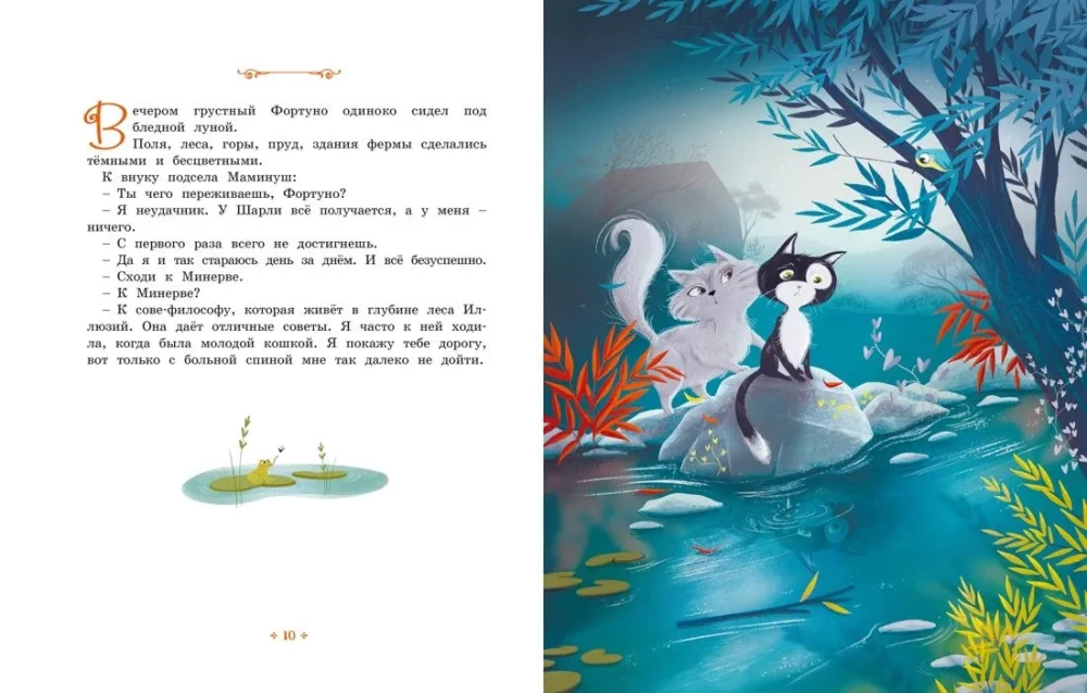 The Kitten Who Was Afraid of Everything