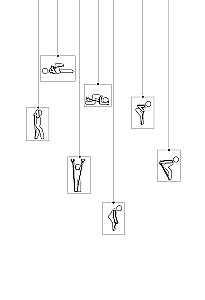 Women's Health: A Journey of a Lifetime. The Golden Book