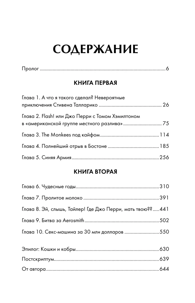 Жизнь на грани. Aerosmith