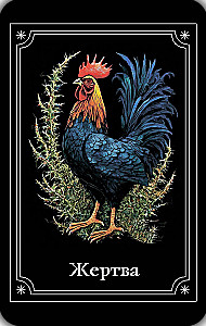 Müstiline orakel - Tumeduse silmadega (64 kaarti)