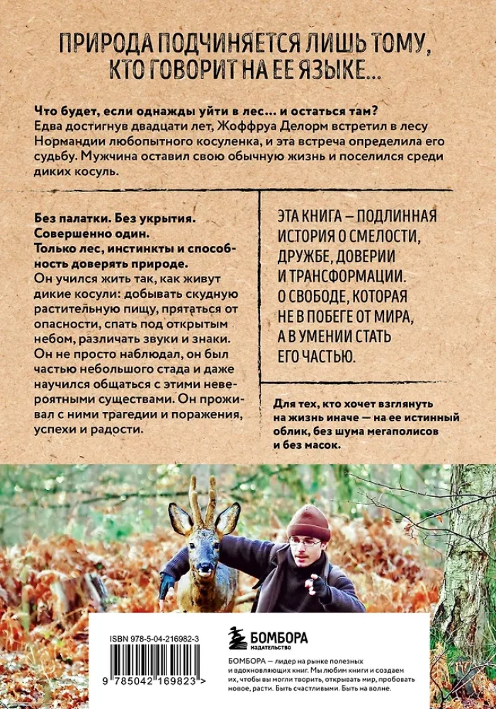 Breath of the Forest. 7 Years of Wild Life