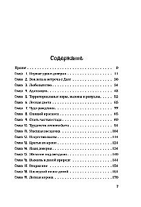 Breath of the Forest. 7 Years of Wild Life