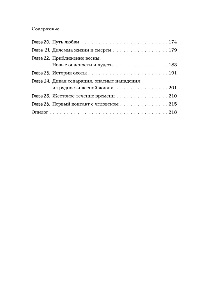 Breath of the Forest. 7 Years of Wild Life