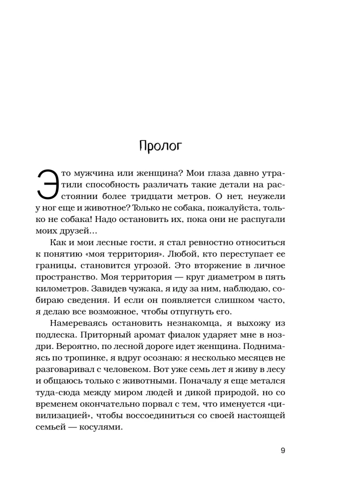 Breath of the Forest. 7 Years of Wild Life