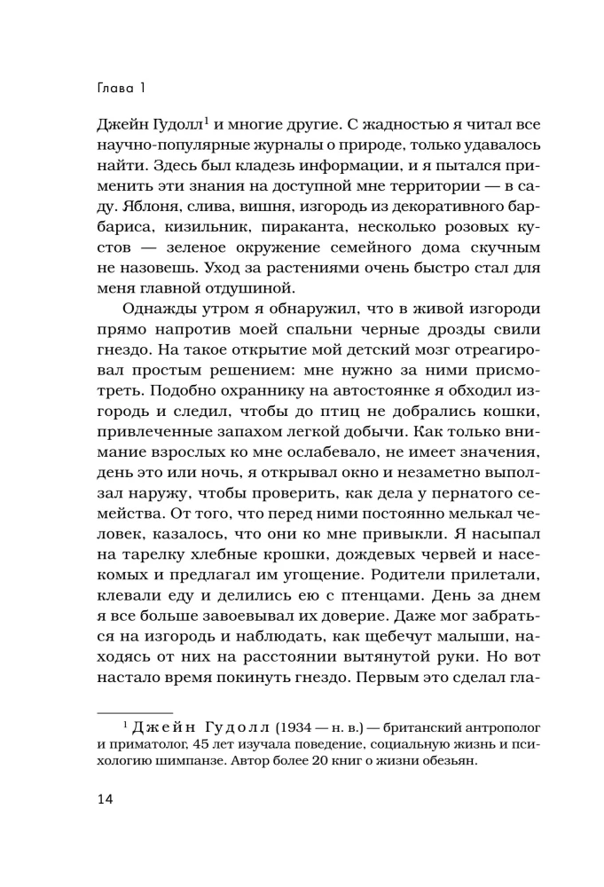 Breath of the Forest. 7 Years of Wild Life