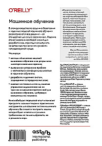Машинное обучение. Как построить надежные модели искусственного интеллекта