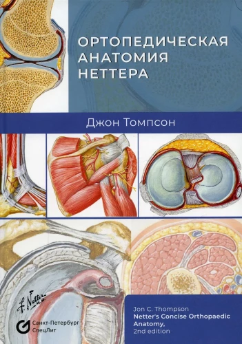 Netter's Orthopedic Anatomy