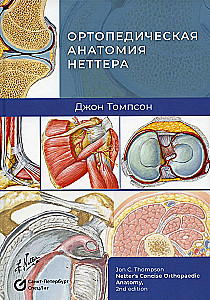 Netter's Orthopedic Anatomy