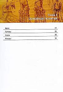 Netter's Orthopedic Anatomy