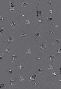 Bastard. Сволочь. Том 2