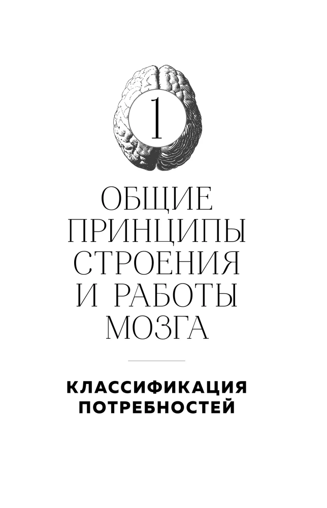 Smegenys ir jų poreikiai. 2.0 nuo maitinimo iki pripažinimo