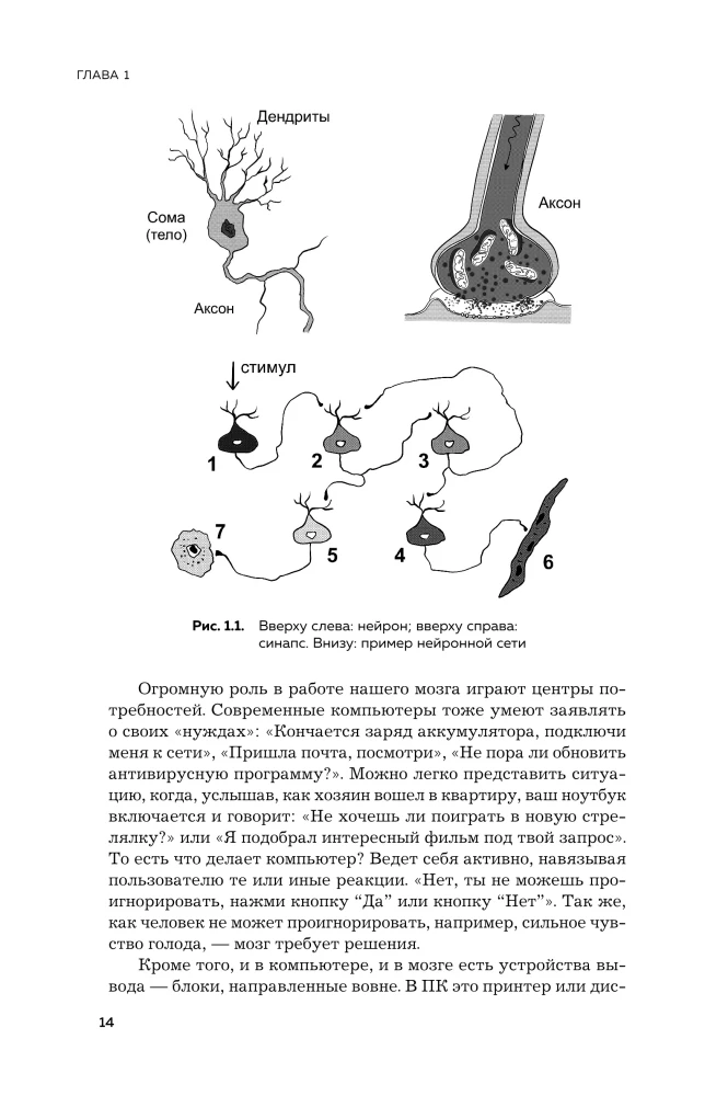 Smegenys ir jų poreikiai. 2.0 nuo maitinimo iki pripažinimo