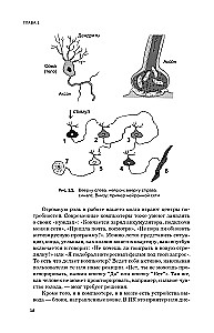 Smegenys ir jų poreikiai. 2.0 nuo maitinimo iki pripažinimo