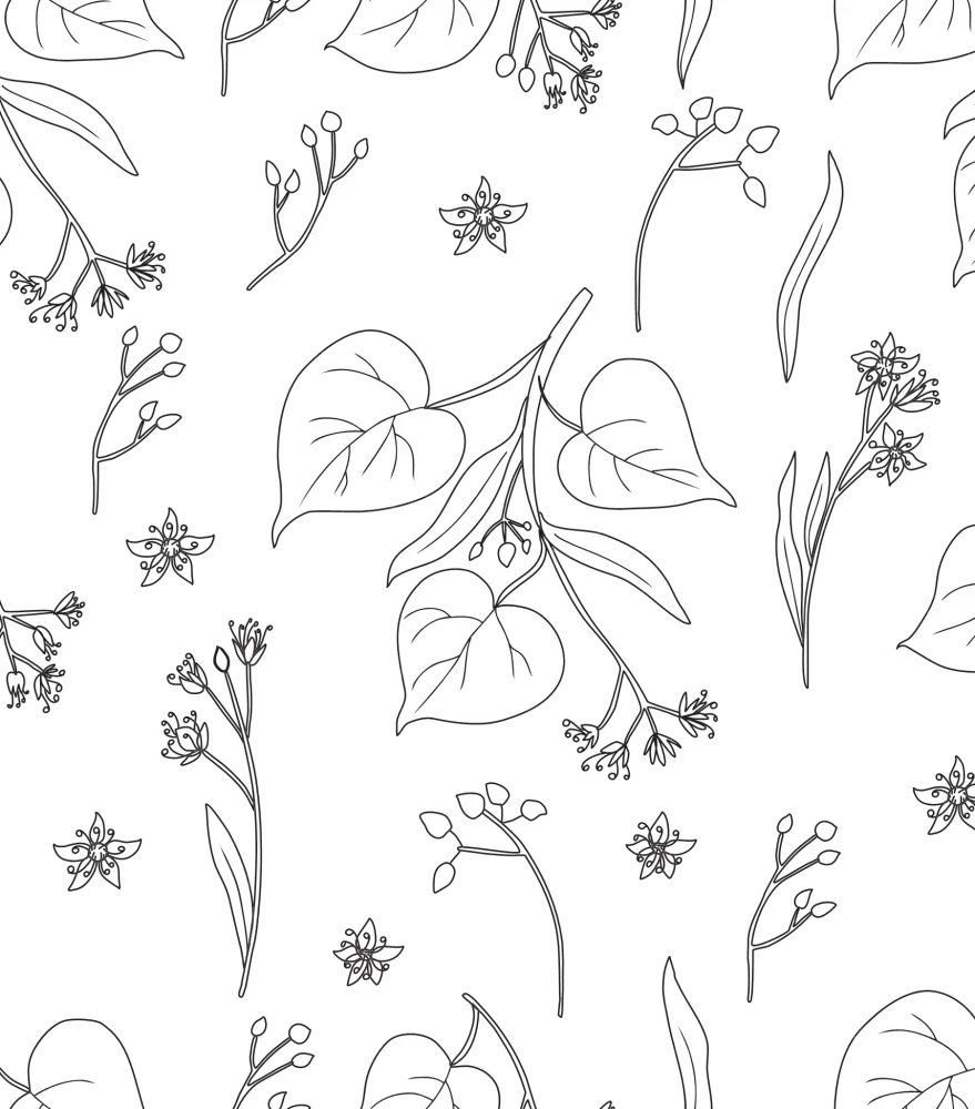 Fairies of the Spring Forest. Coloring Book