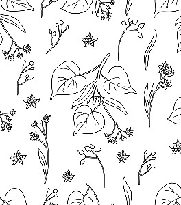 Fairies of the Spring Forest. Coloring Book