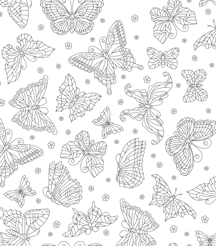 Fairies of the Spring Forest. Coloring Book