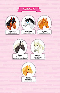 Akademia jazdy konnej. Tajemnica Cherokee