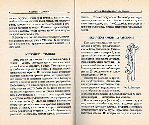 Ogórek. Aromatyczny doktor z grządki