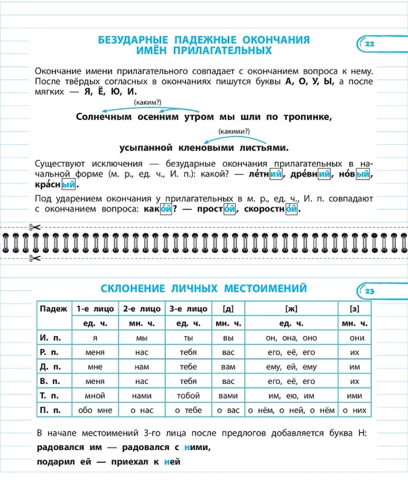 Set All Rules in Russian Language. Grades 1–4