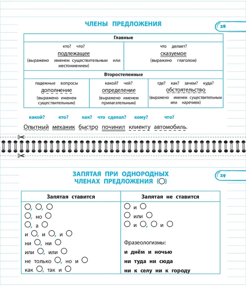 Set All Rules in Russian Language. Grades 1–4