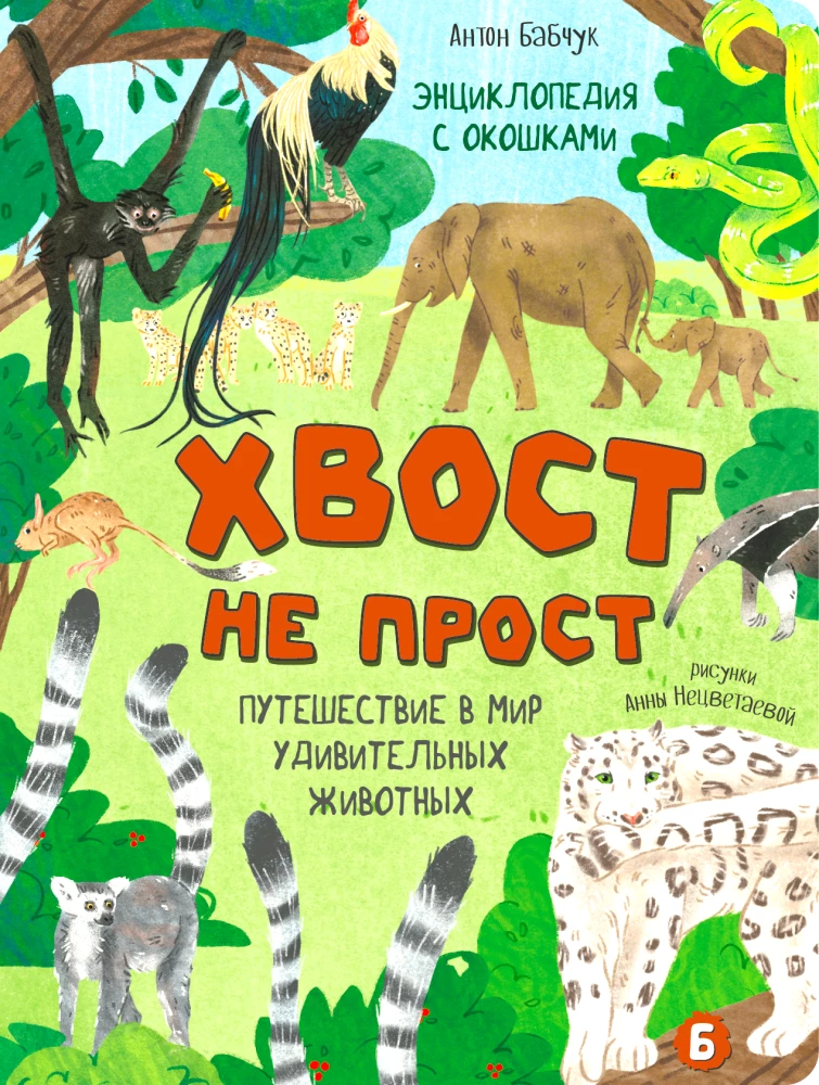 Encyclopedia with Windows. The Tail is Not Simple