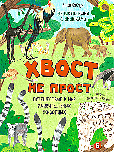 Encyclopedia with Windows. The Tail is Not Simple